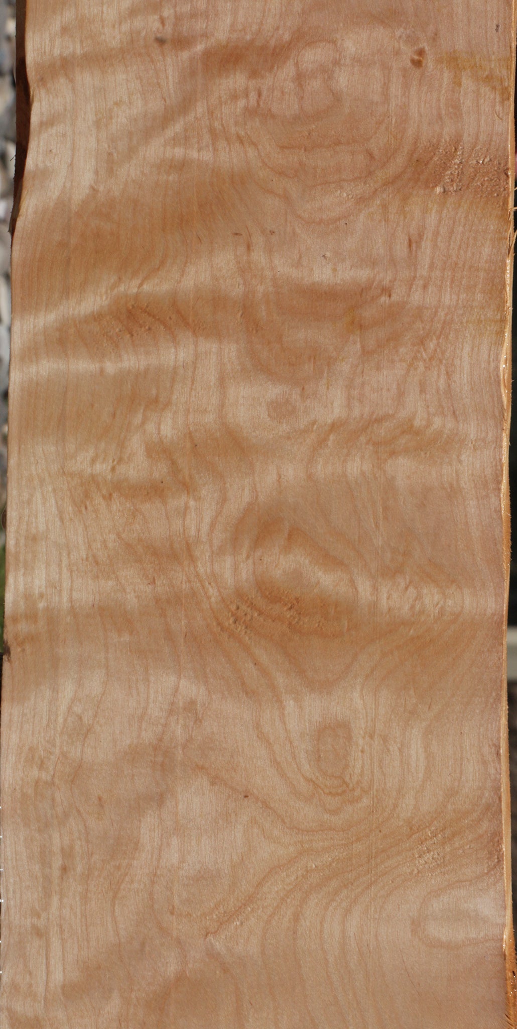 Extra Fancy Curly Birch Lumber