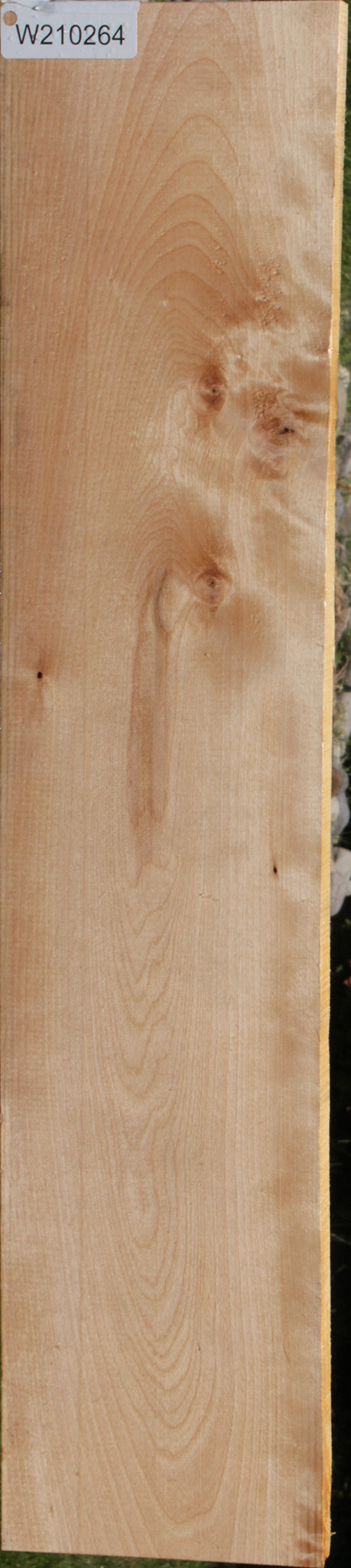 Birch Lumber