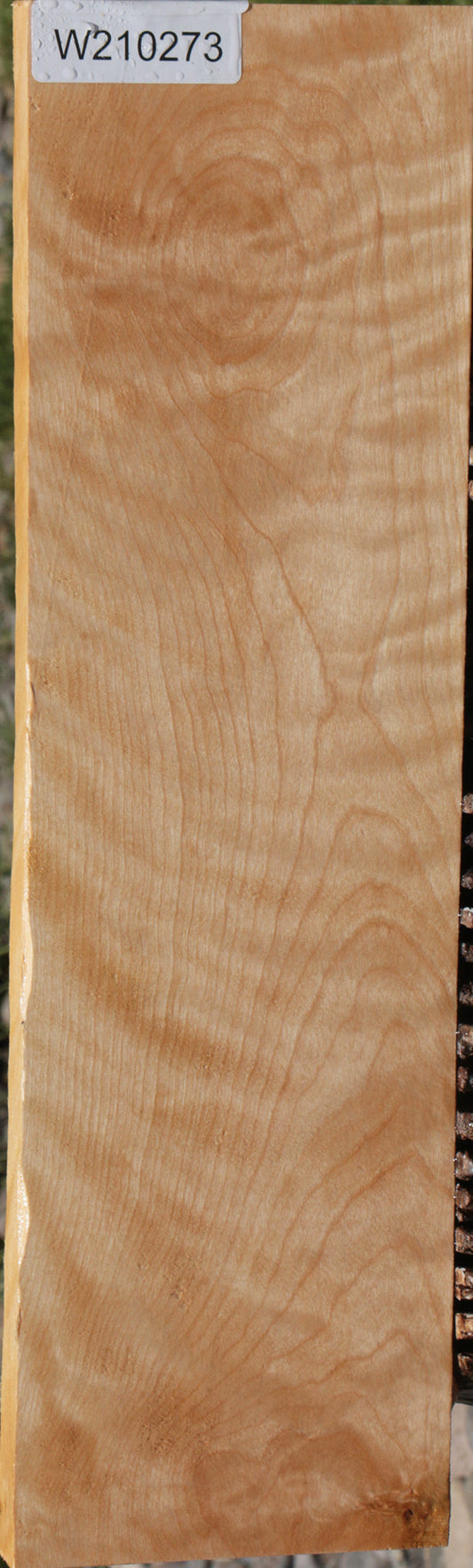 Extra Fancy Curly Birch Lumber