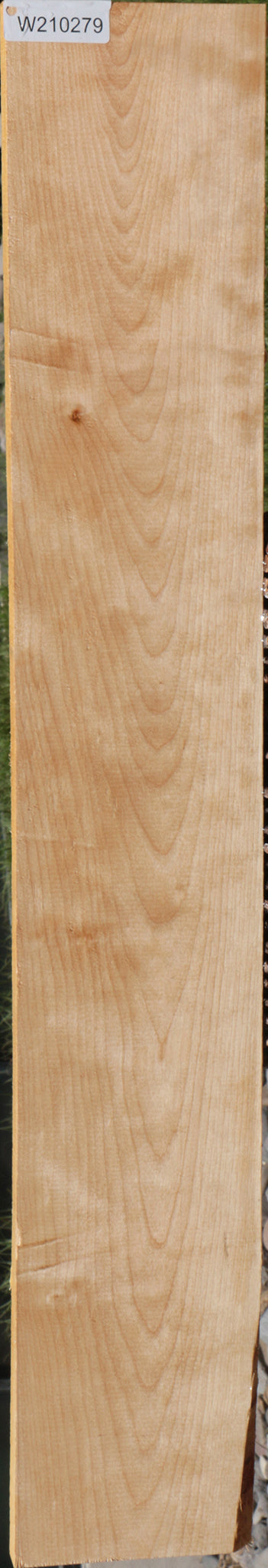 Curly Birch Lumber