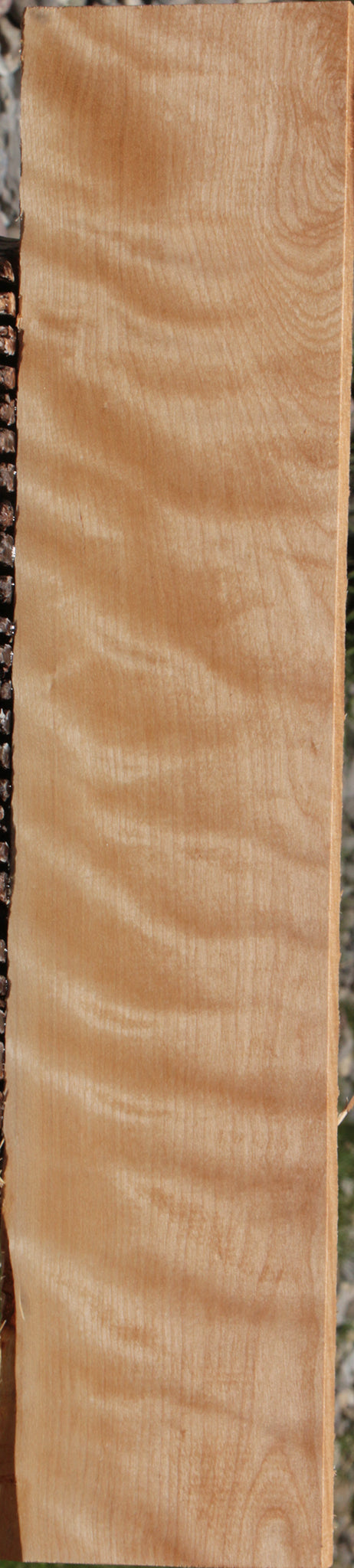 Curly Birch Lumber