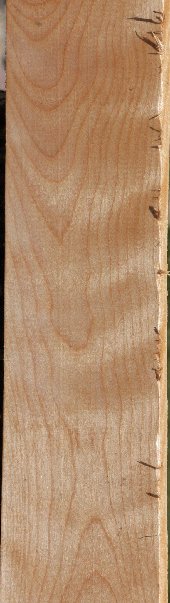 Birch Lumber