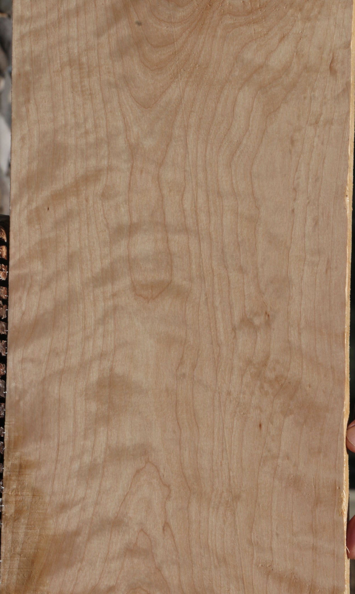 Extra Fancy Curly Birch Lumber