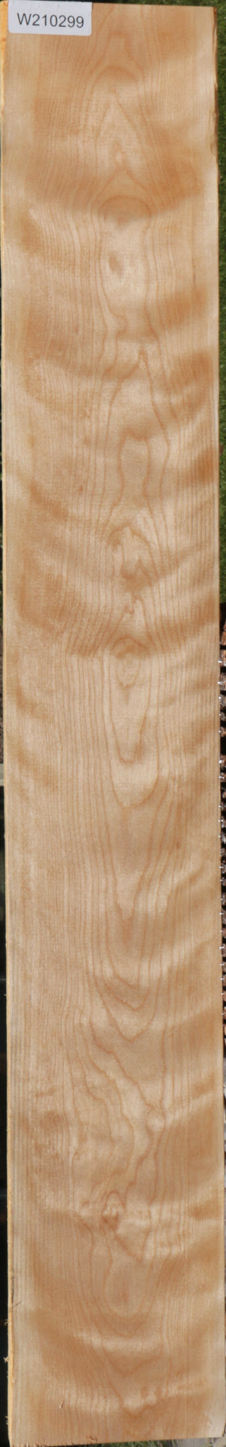 Curly Birch Lumber