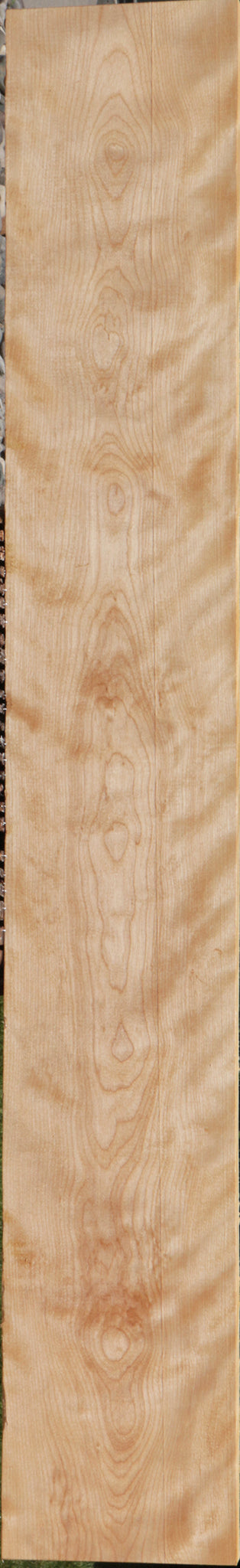 Curly Birch Lumber