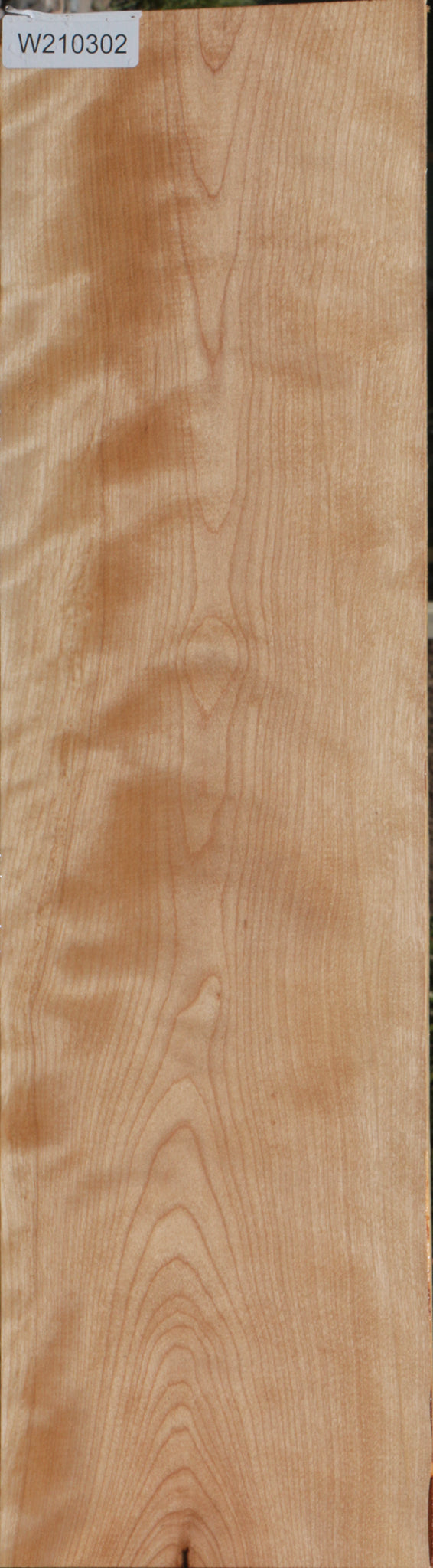 Curly Birch Lumber