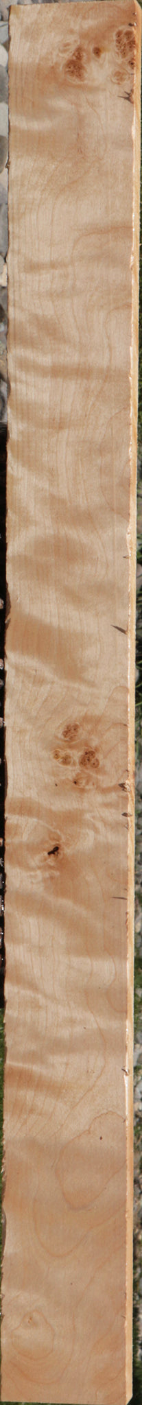 Curly Birch Lumber