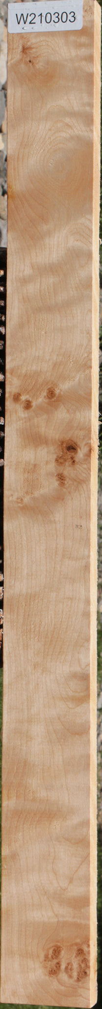 Curly Birch Lumber