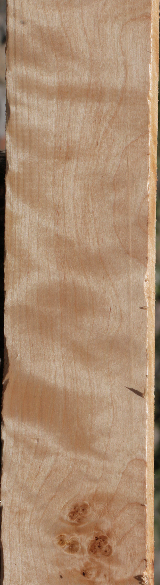 Curly Birch Lumber