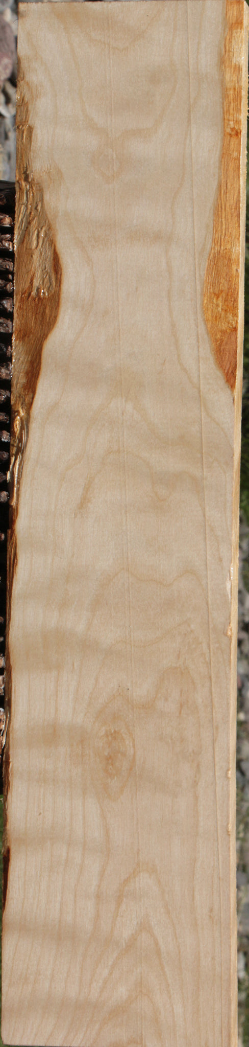 Curly Birch Lumber