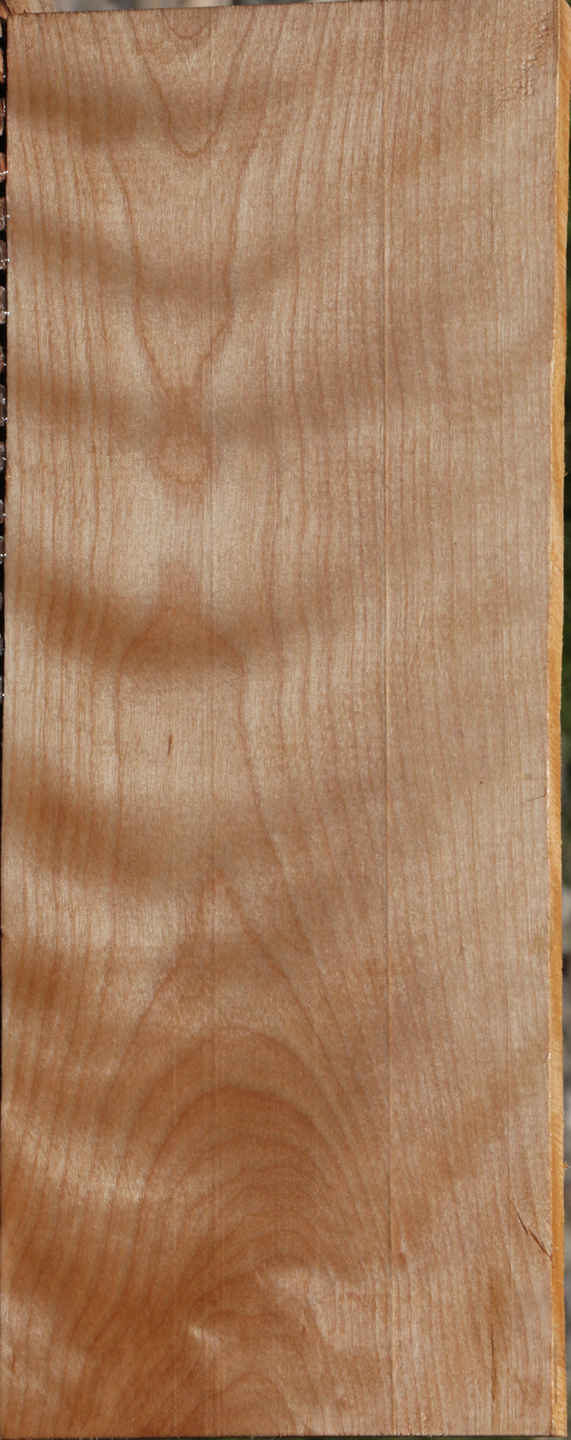 Curly Birch Lumber