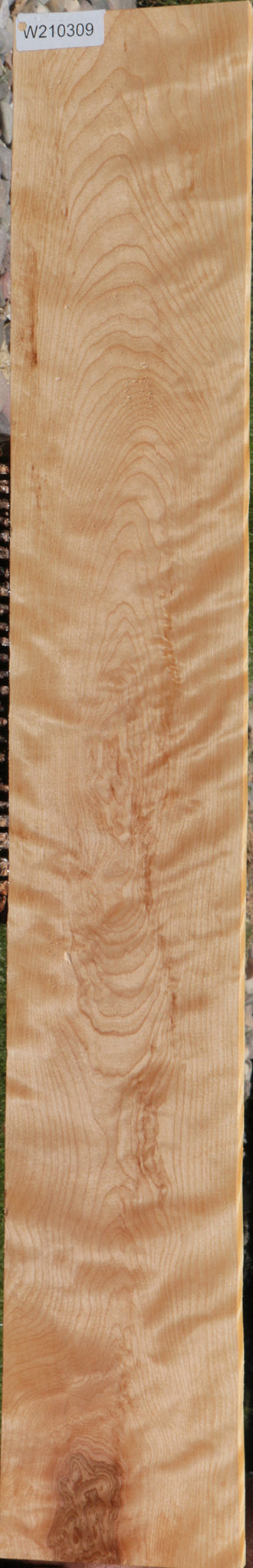 Curly Birch Lumber