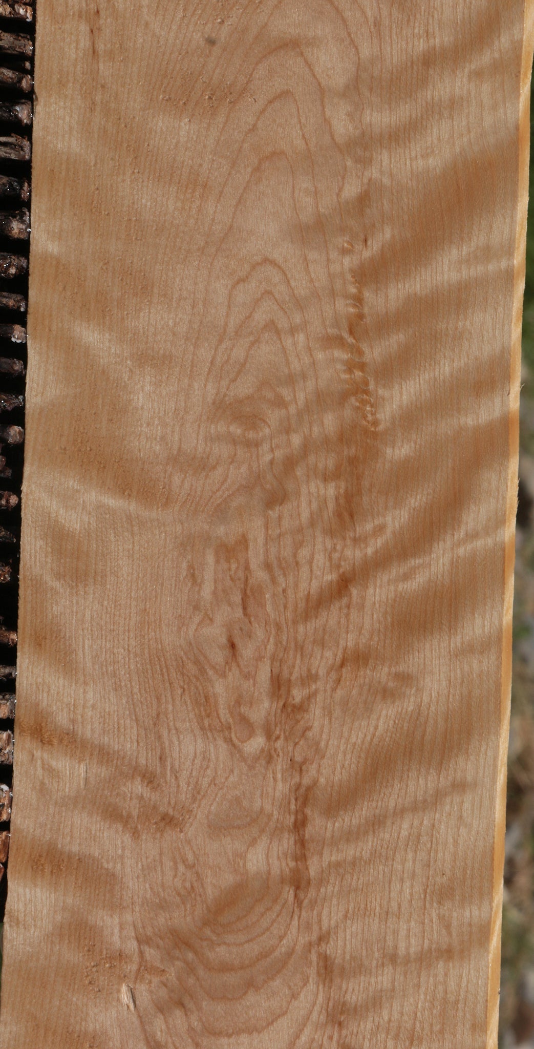 Curly Birch Lumber