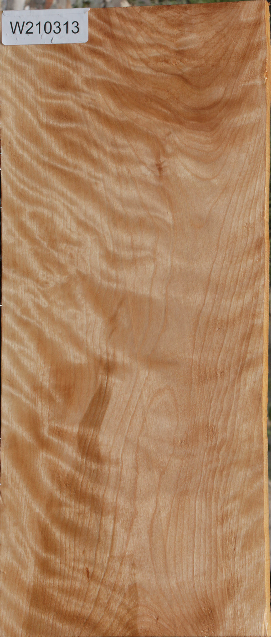 Extra Fancy Curly Birch Lumber