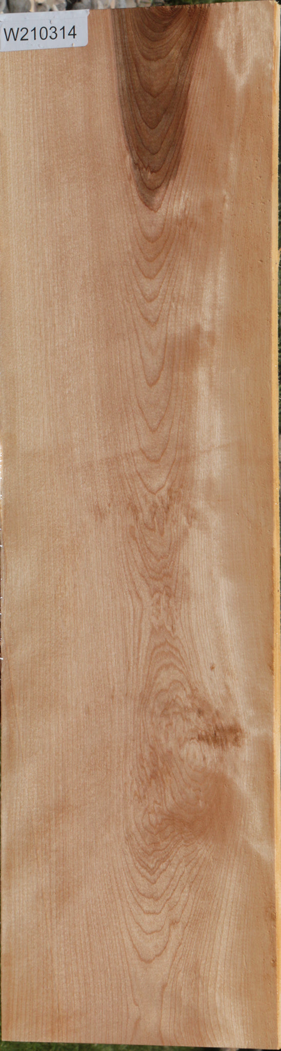 Curly Birch Lumber