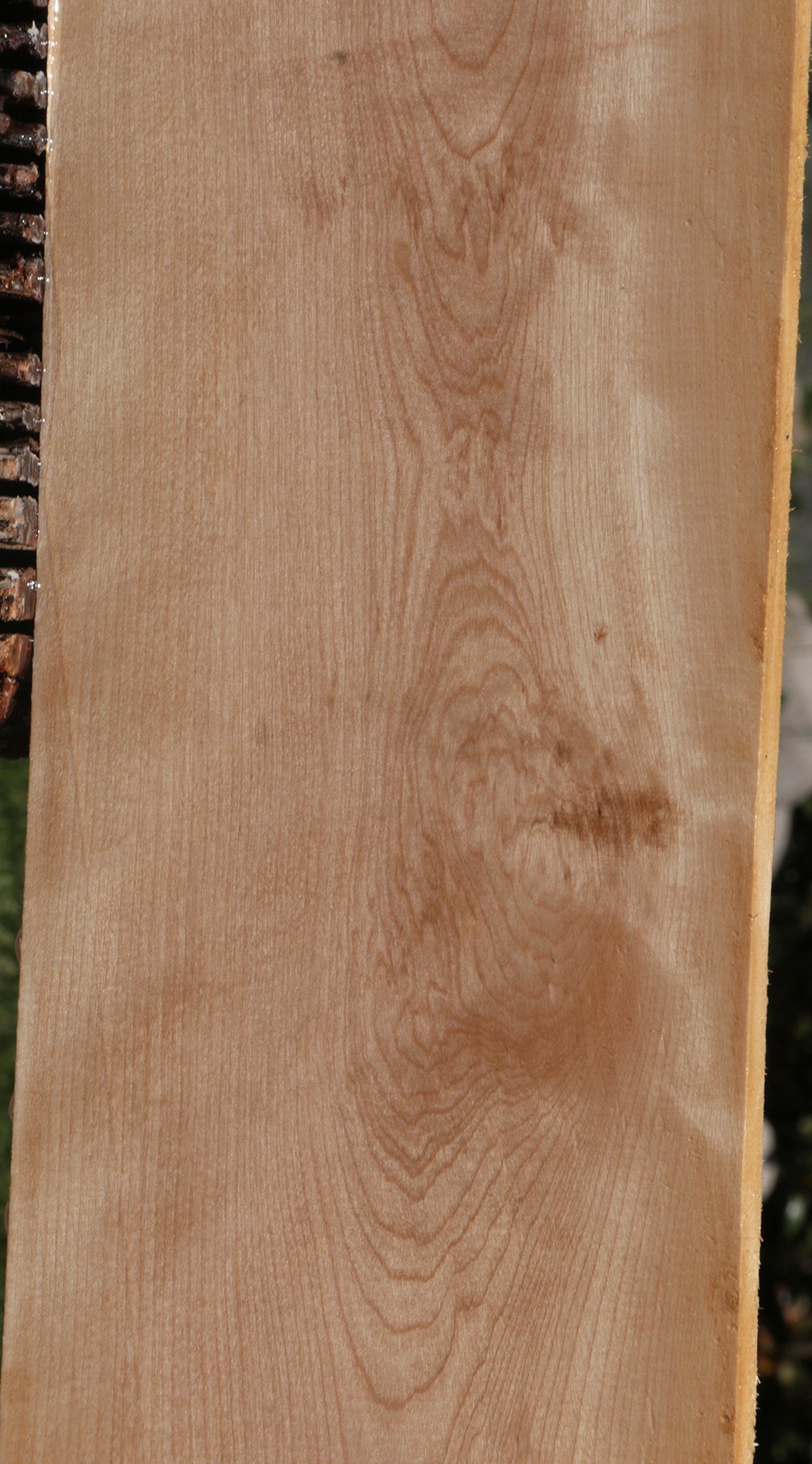 Curly Birch Lumber