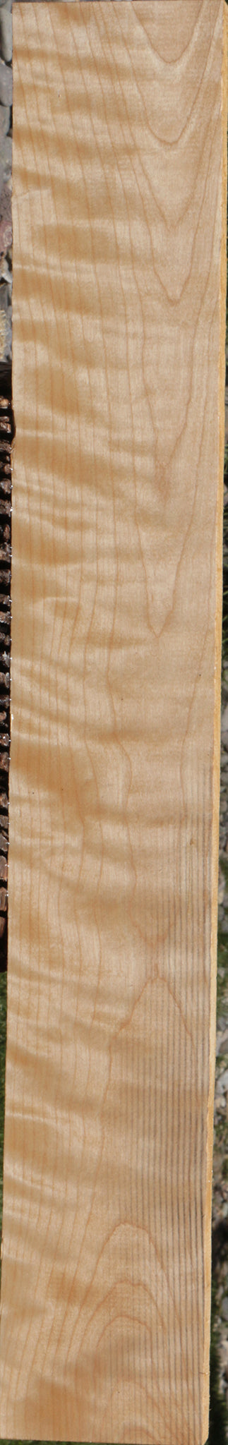 Extra Fancy Curly Birch Lumber