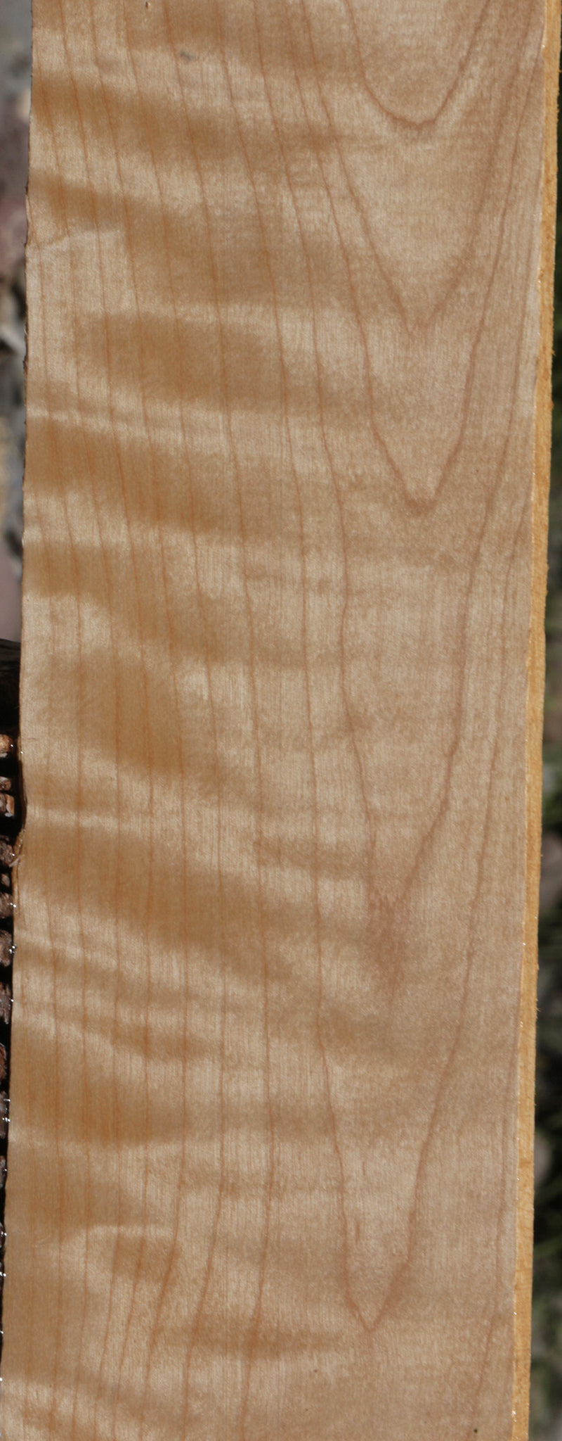 Extra Fancy Curly Birch Lumber