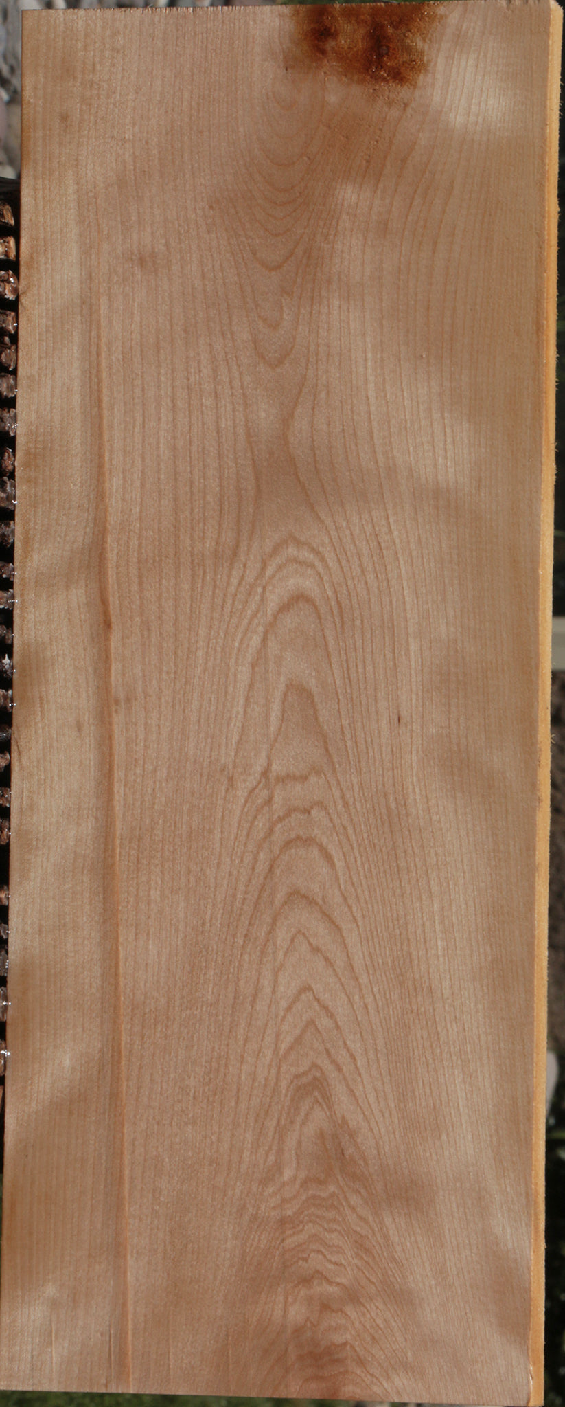 Curly Birch Lumber