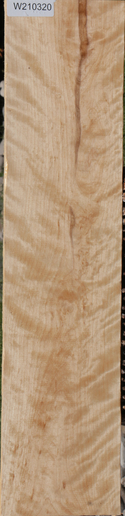 Extra Fancy Curly Birch Lumber