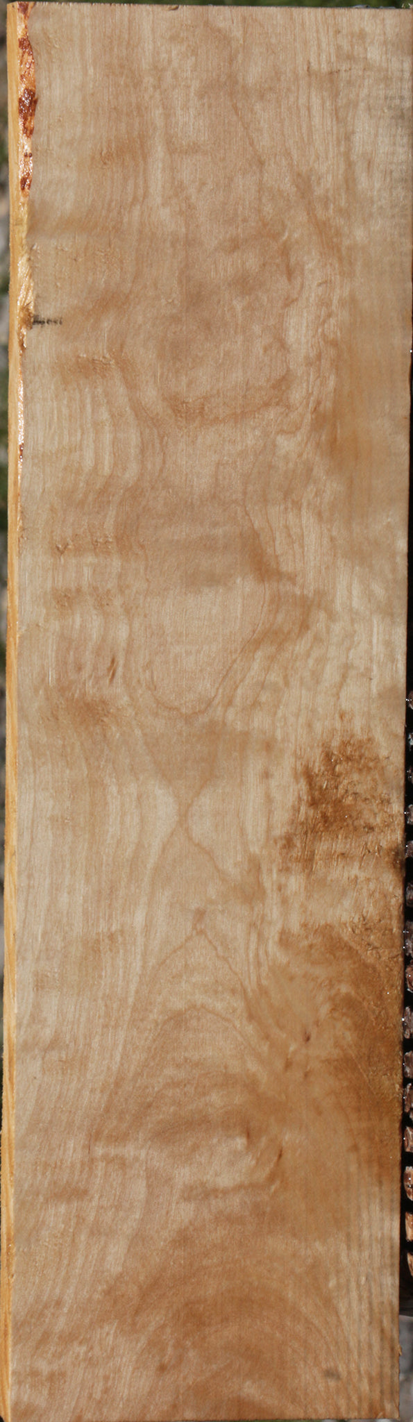 Extra Fancy Curly Birch Lumber