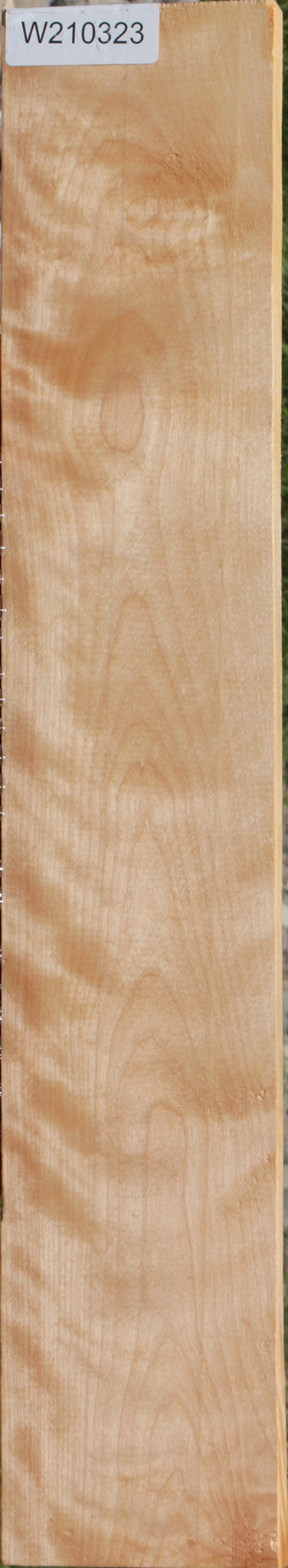 Curly Birch Lumber