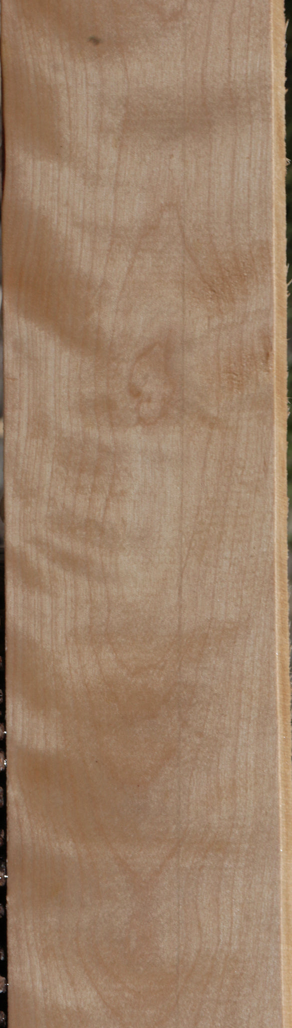 Curly Birch Lumber