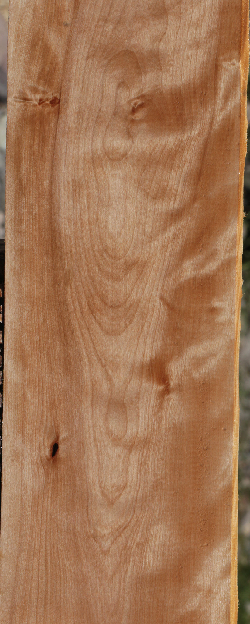 Extra Fancy Curly Birch Lumber