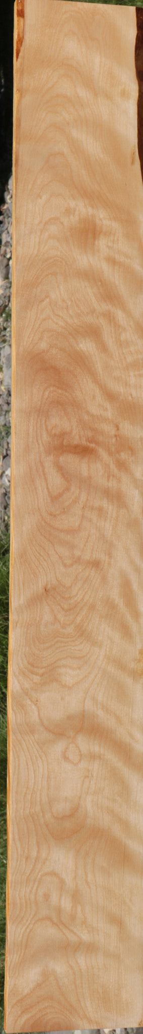 Curly Birch Lumber