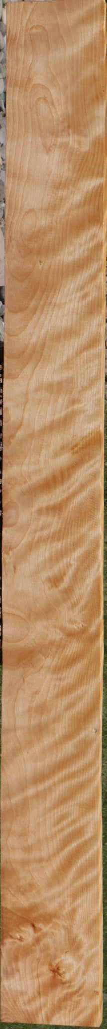 Extra Fancy Curly Birch Lumber