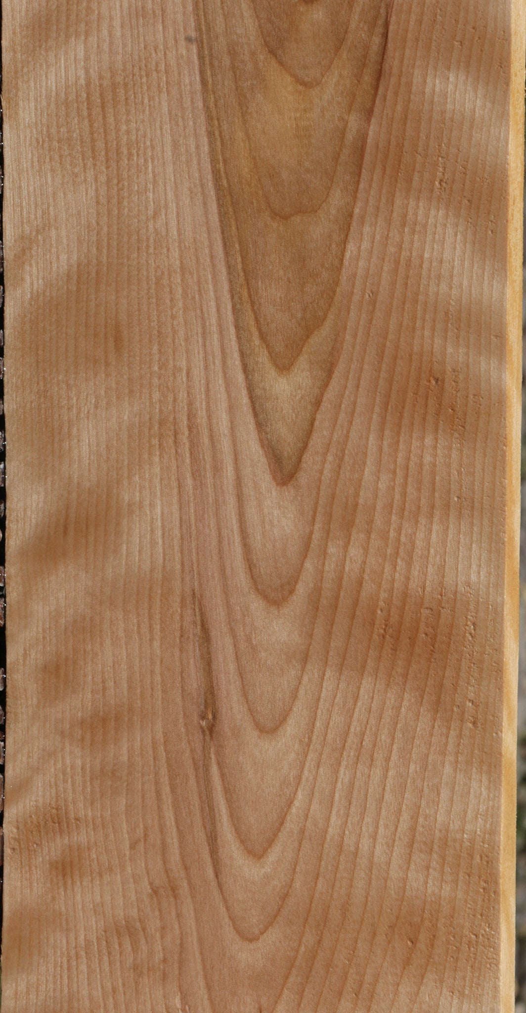 Curly Birch Lumber