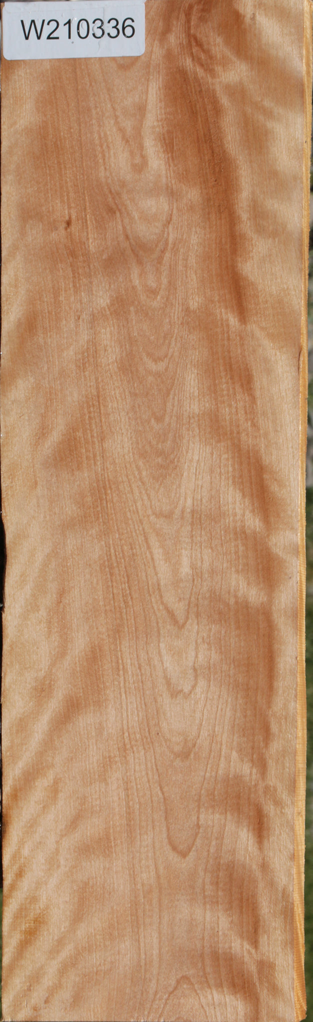 Curly Birch Lumber