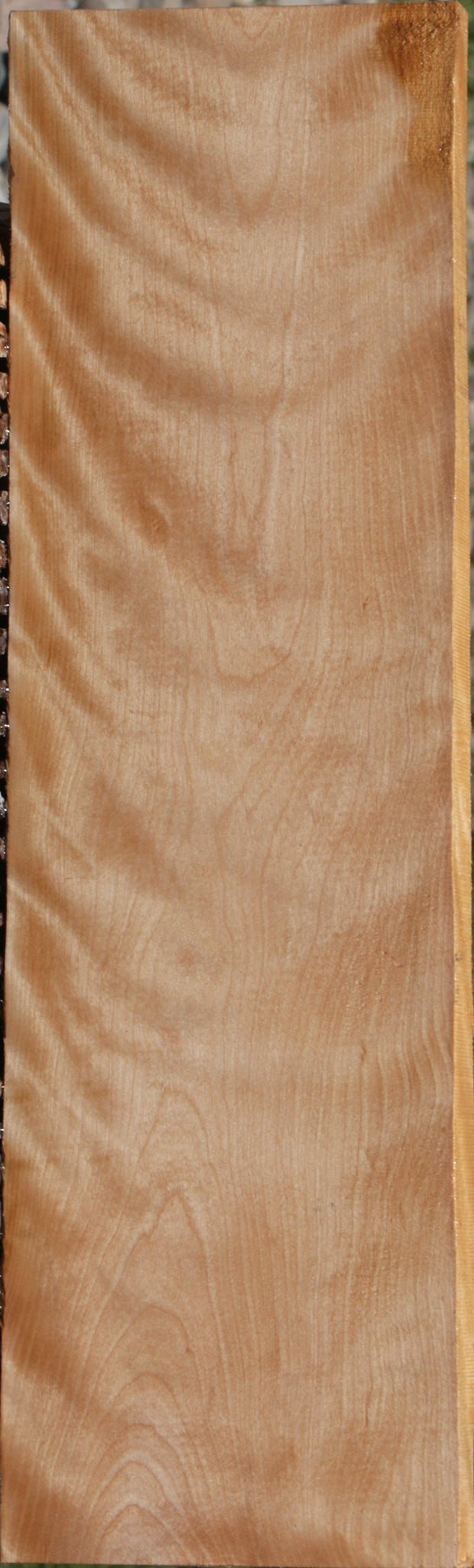 Curly Birch Lumber