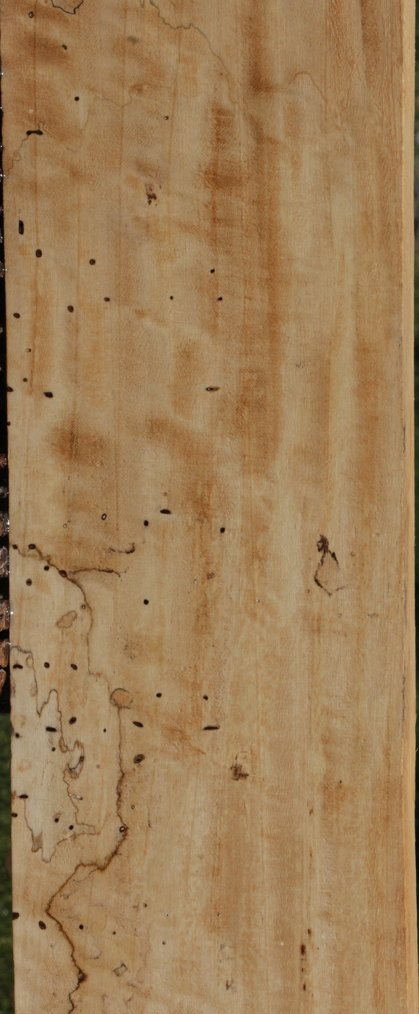 Extra Fancy Spalted Tamarind Lumber