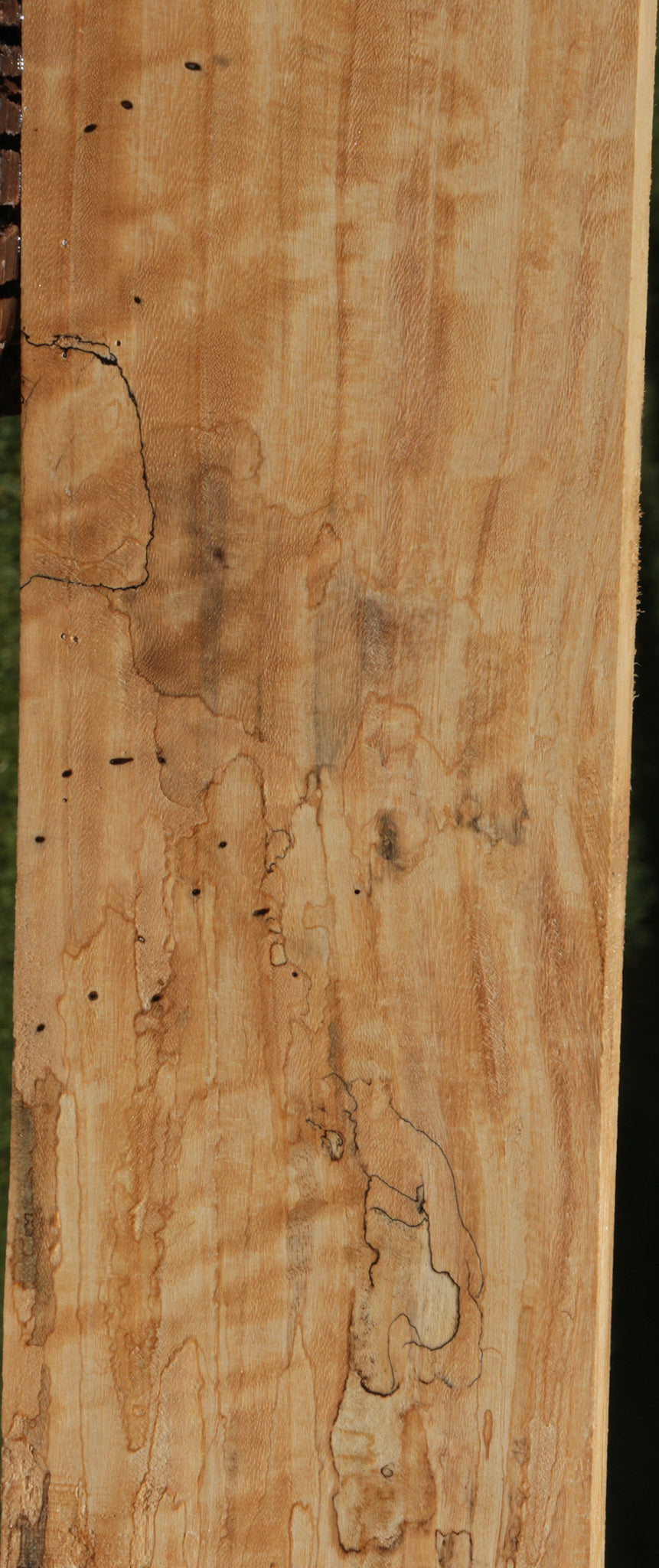 Extra Fancy Spalted Tamarind Lumber