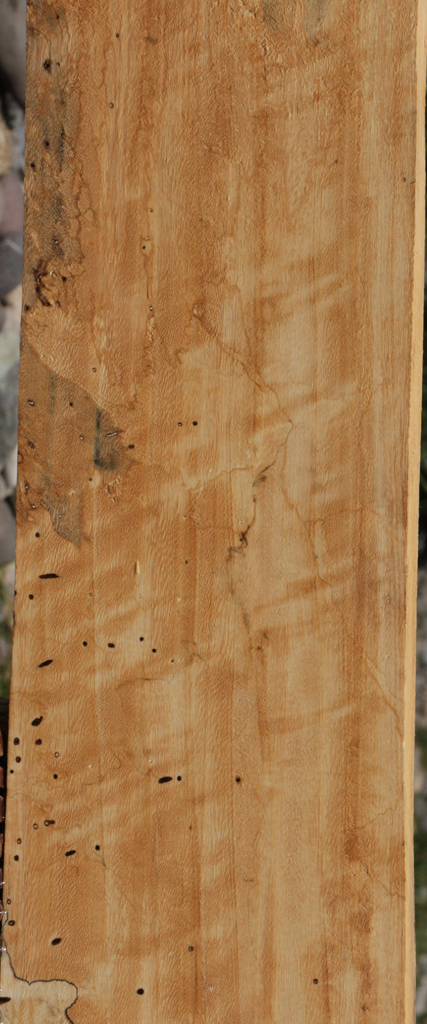 Extra Fancy Spalted Tamarind Lumber