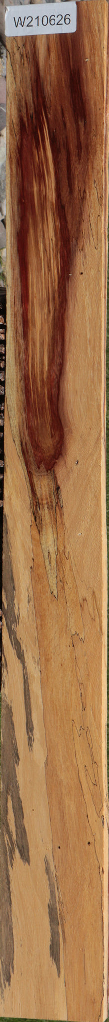 Extra Fancy Spalted Tamarind Lumber