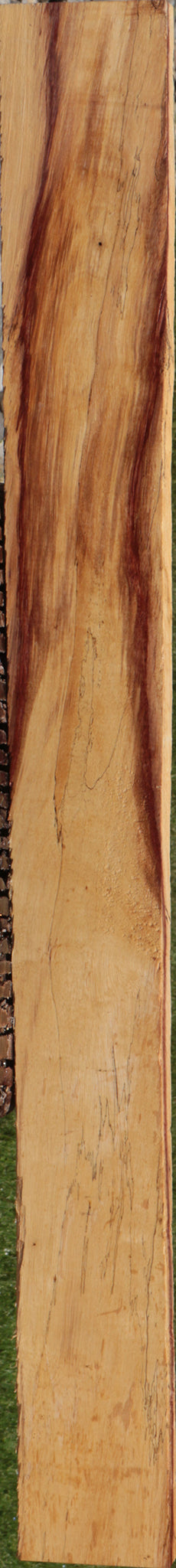 Extra Fancy Spalted Tamarind Lumber