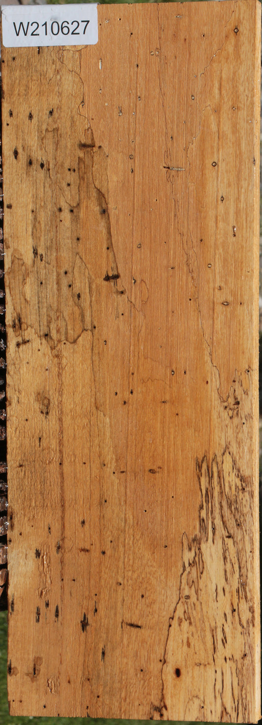 Spalted Tamarind Lumber