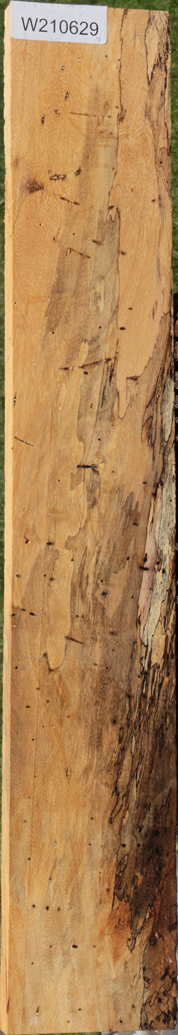 Extra Fancy Spalted Tamarind Lumber