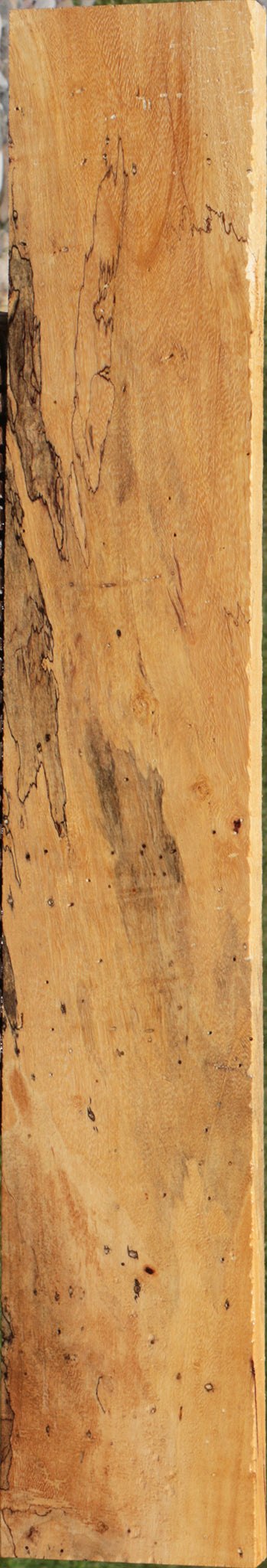 Extra Fancy Spalted Tamarind Lumber