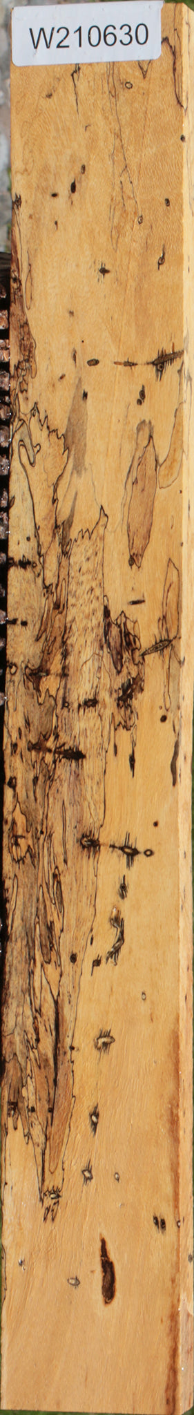 Extra Fancy Spalted Tamarind Lumber