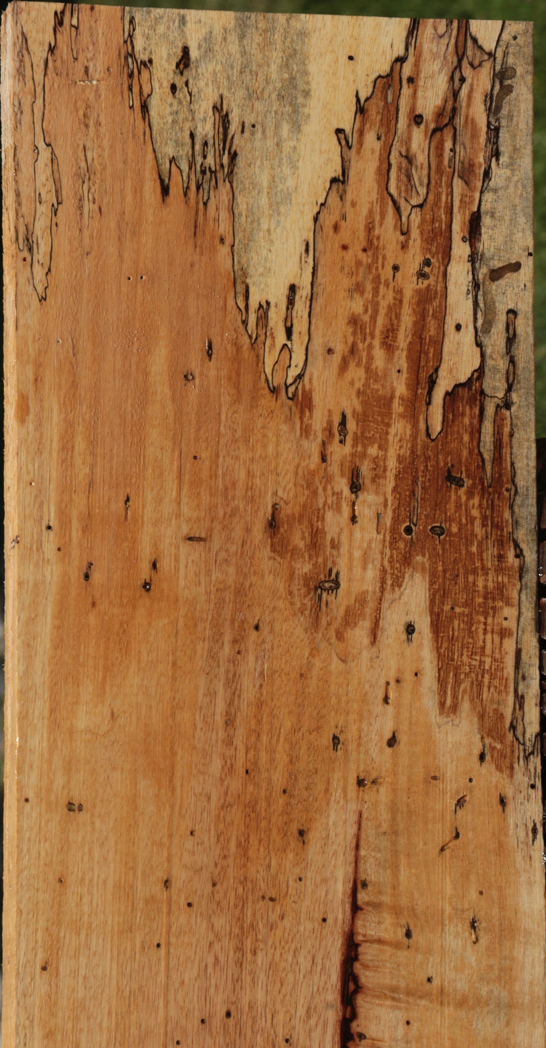 Figured Spalted Tamarind Lumber