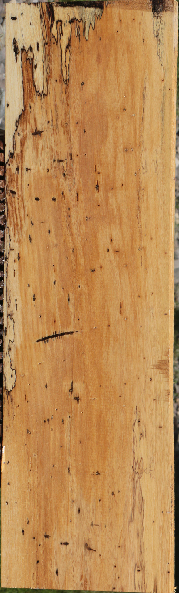 Figured Spalted Tamarind Lumber