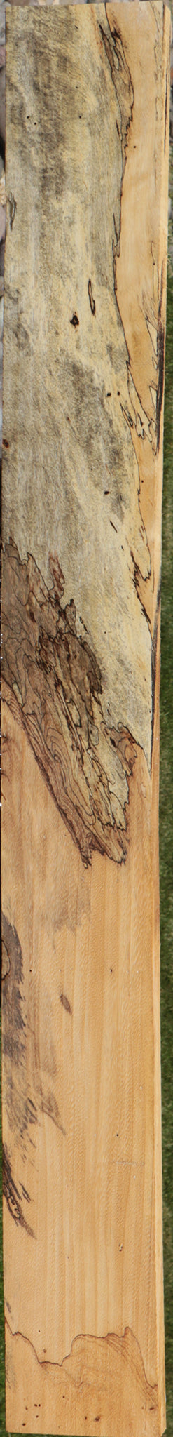 Extra Fancy Spalted Tamarind Lumber