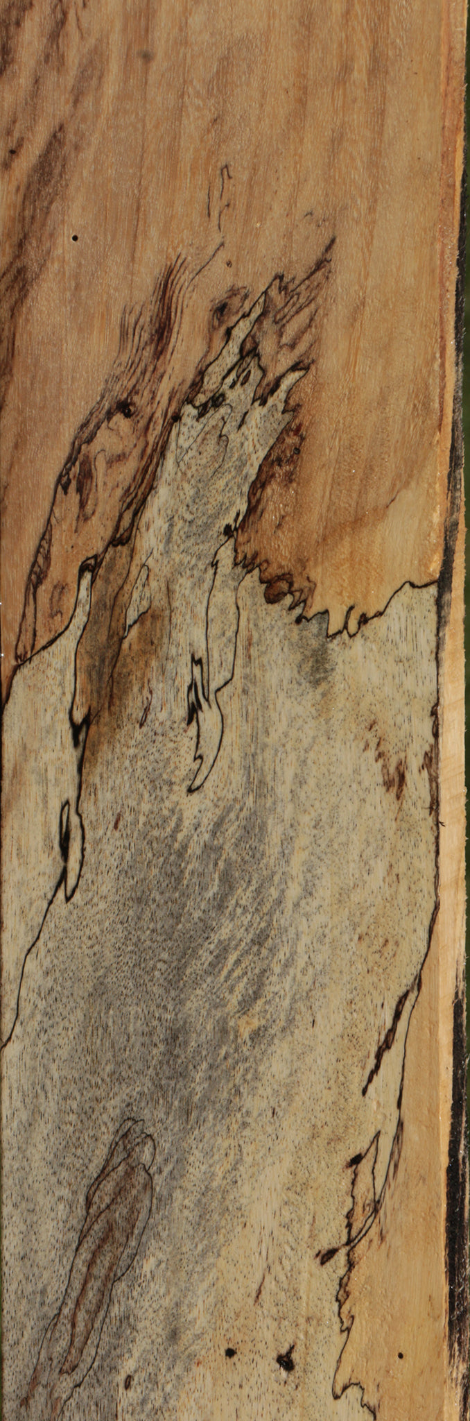 Extra Fancy Spalted Tamarind Lumber