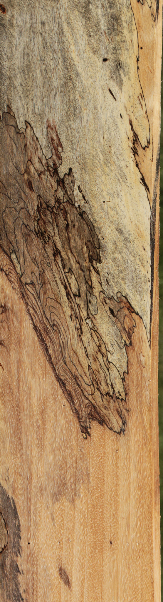 Extra Fancy Spalted Tamarind Lumber