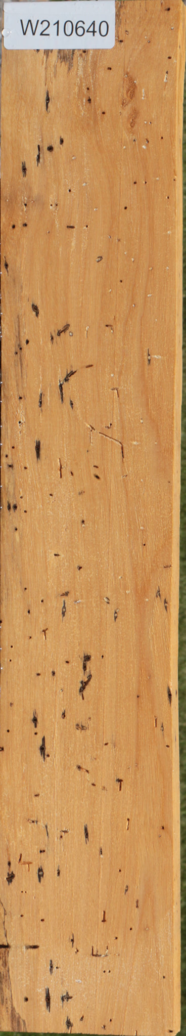 Spalted Tamarind Lumber