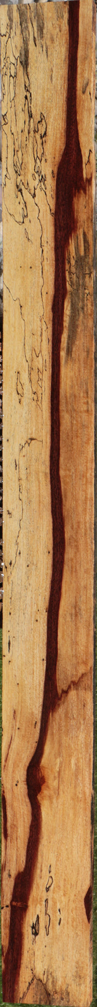 Exhibition Spalted Tamarind Lumber