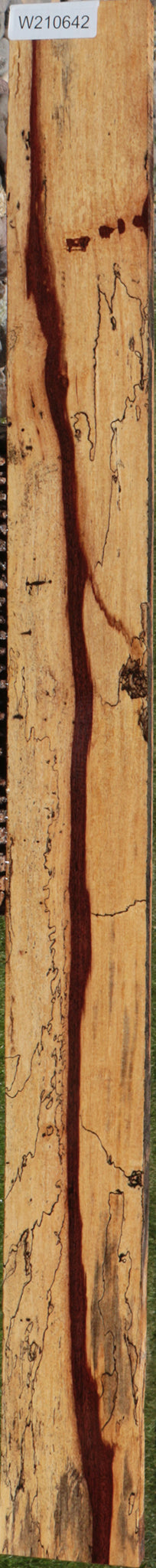 Exhibition Spalted Tamarind Lumber